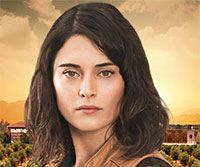 Zeytin Tepesi - Aslıhan Gürbüz - Deniz Gökçener