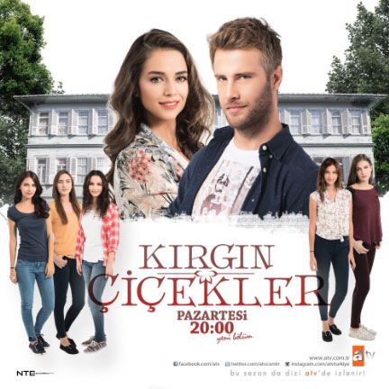 Kırgın Çiçekler Afişi, Afişleri, Afiş Resimleri-2