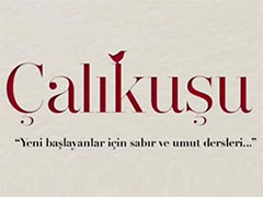 Oyuncu Şükrü Özyıldız Çalıkuşu Dizisine Transfer Oldu